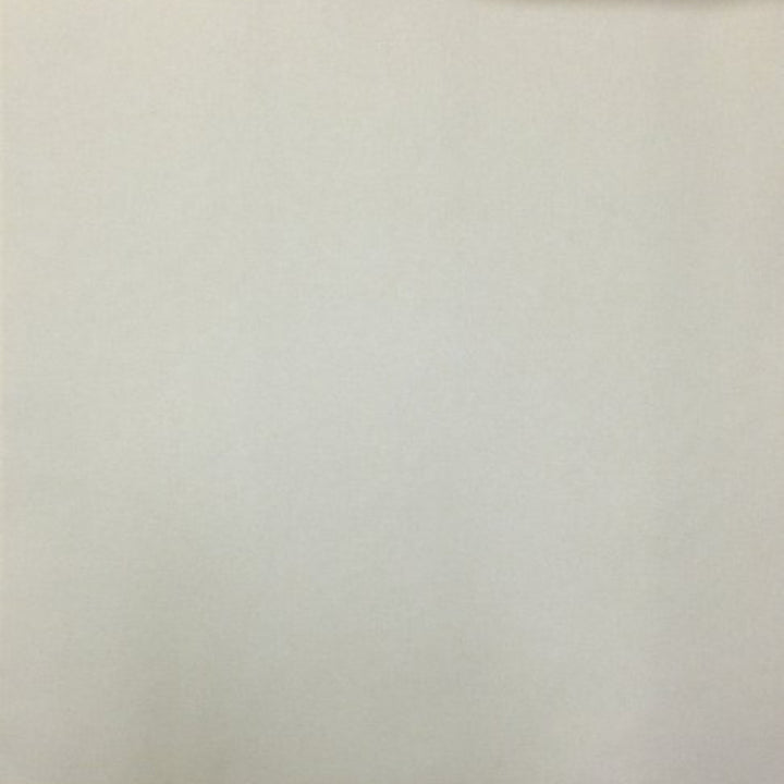 Murphy Plain 503 by Europatex Fabric Murphy 100% Polyester 0.00" 55.00 inches - Fabric Carolina -