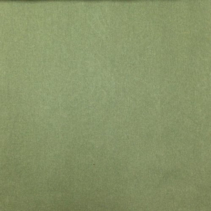 Murphy Plain Olive by Europatex Fabric Murphy 100% Polyester 0.00" 55.00 inches - Fabric Carolina -