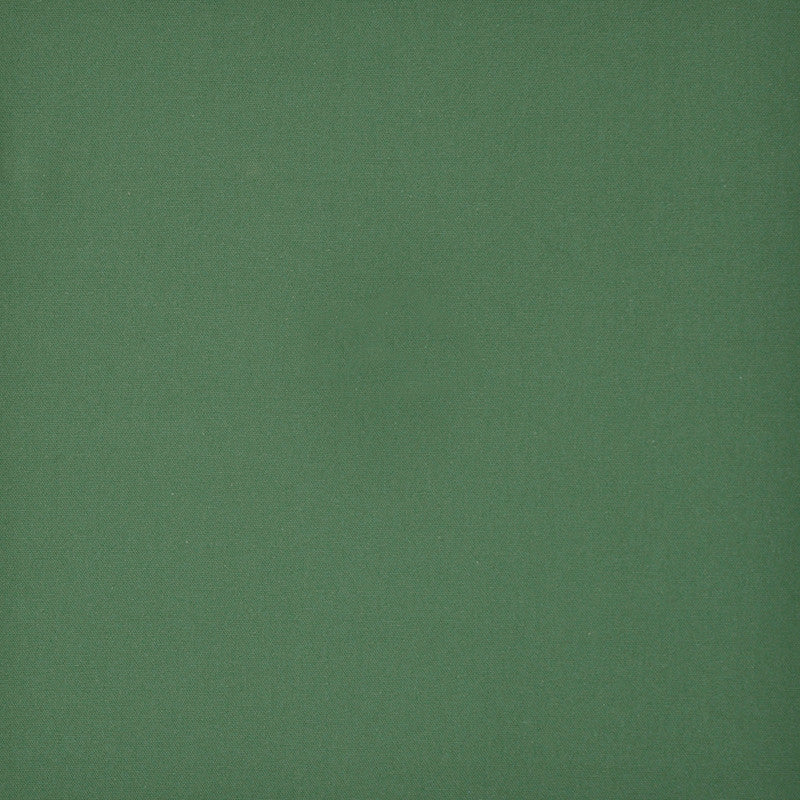 New Haven # 669 Grass by Maxwell Fabric PURE & SIMPLE V 100% COTTON INDIA See sample </p><p>Repeat: Horizontal: and Vertical: 54/55" - Fabric Carolina -