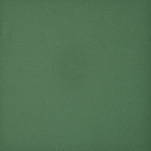 New Haven # 669 Grass by Maxwell Fabric