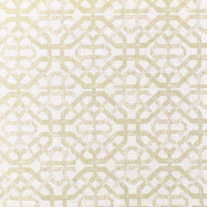 Porta Fregio/Leaf N3 00033133 by Old World Weavers Fabric