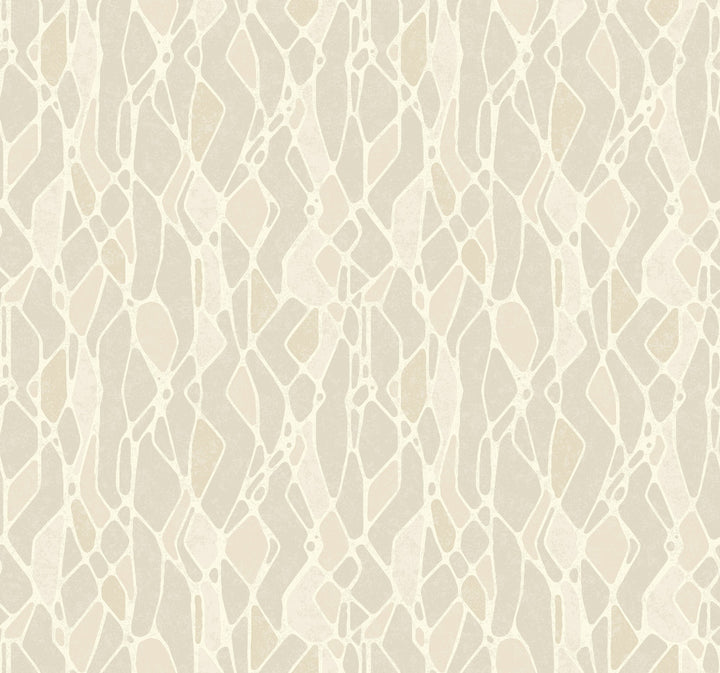 Stained Glass Taupe Wallpaper by Candice Olson Candice Olson Botanical Dreams Covers about 60.8 square feet 27-in by 27-ft long roll Unpasted 25.25 - Fabric Carolina -