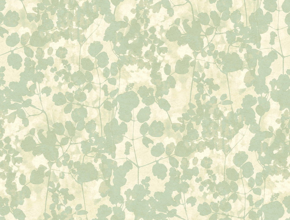 Pressed Leaves Green Wallpaper by Candice Olson Candice Olson Botanical Dreams Covers about 60.8 square feet 27-in by 27-ft long roll Unpasted 20.5 - Fabric Carolina -