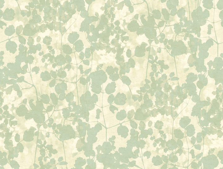 Pressed Leaves Green Wallpaper by Candice Olson Candice Olson Botanical Dreams Covers about 60.8 square feet 27-in by 27-ft long roll Unpasted 20.5 - Fabric Carolina -
