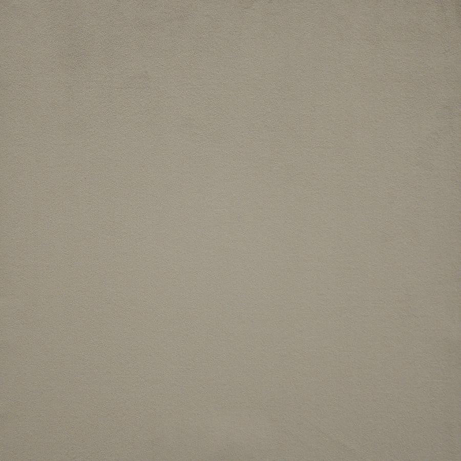Novarro # 712 Taupe by Maxwell Fabric Velvet Room 100% POLYESTER CHINA 54" - Fabric Carolina -