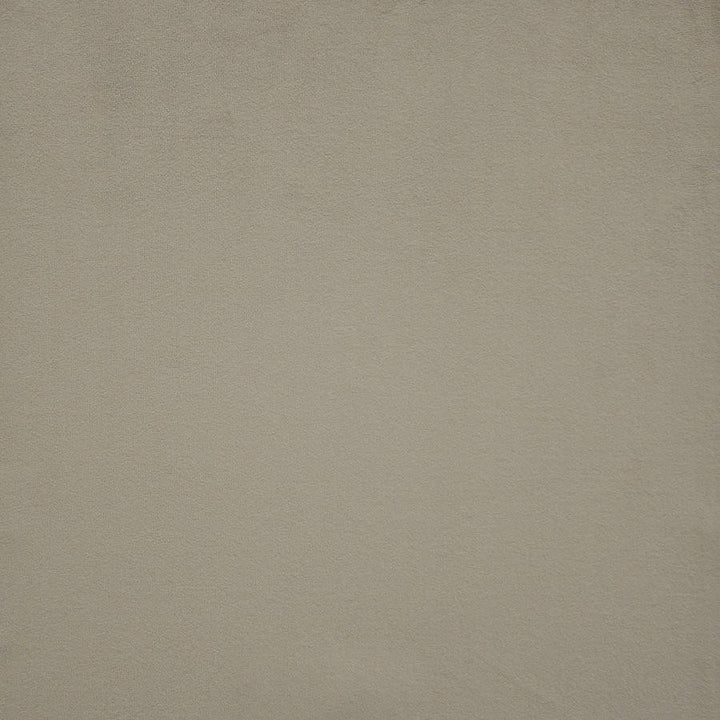 Novarro # 712 Taupe by Maxwell Fabric Velvet Room 100% POLYESTER CHINA 54" - Fabric Carolina -