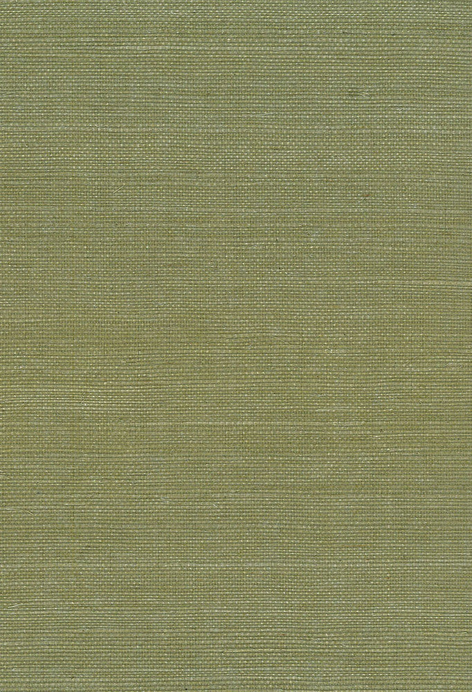 Sisal Green by Seabrook Wallpaper Natural Resource China 72 0" 36" - Fabric Carolina -