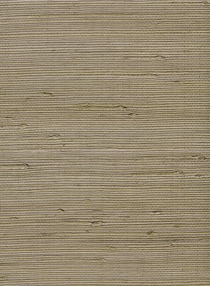 Jute Tan by Seabrook Wallpaper Natural Resource China 72 0" 36" - Fabric Carolina -