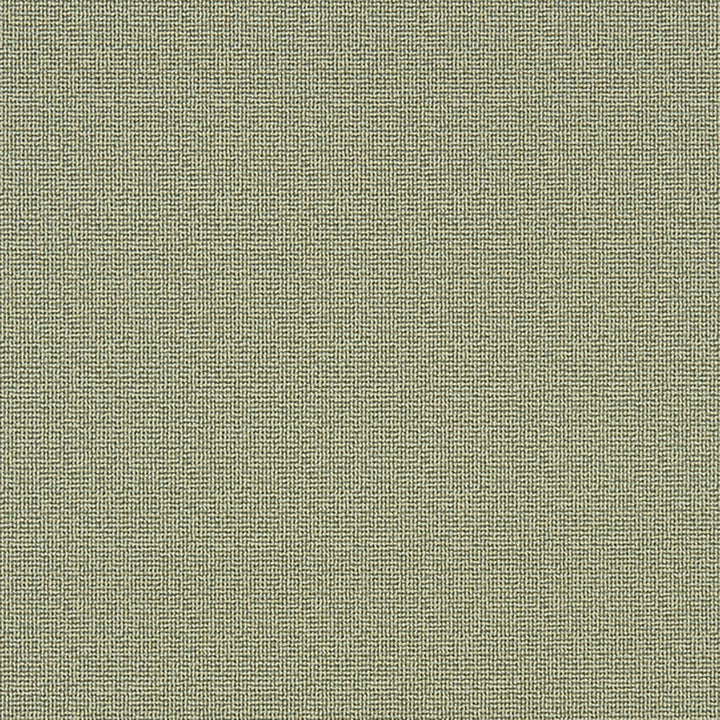 Napanee 74J7031 by JF Crypton Designer Fabric Crypton Binder 100% Polyester United States 50000 Horizontal: and Vertical: 54 - Swanky Fabrics -