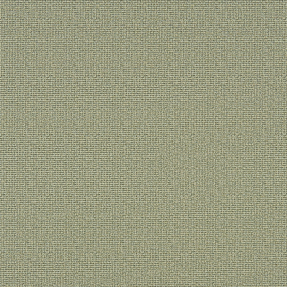 Napanee 74J7031 by JF Crypton Designer Fabric Crypton Binder 100% Polyester United States 50000 Horizontal: and Vertical: 54 - Swanky Fabrics -