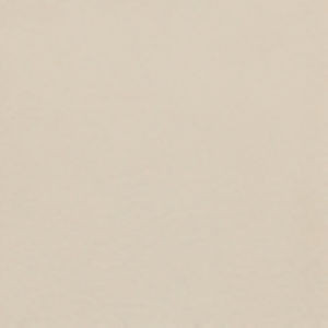 Napa Bone by Norbar Fabric