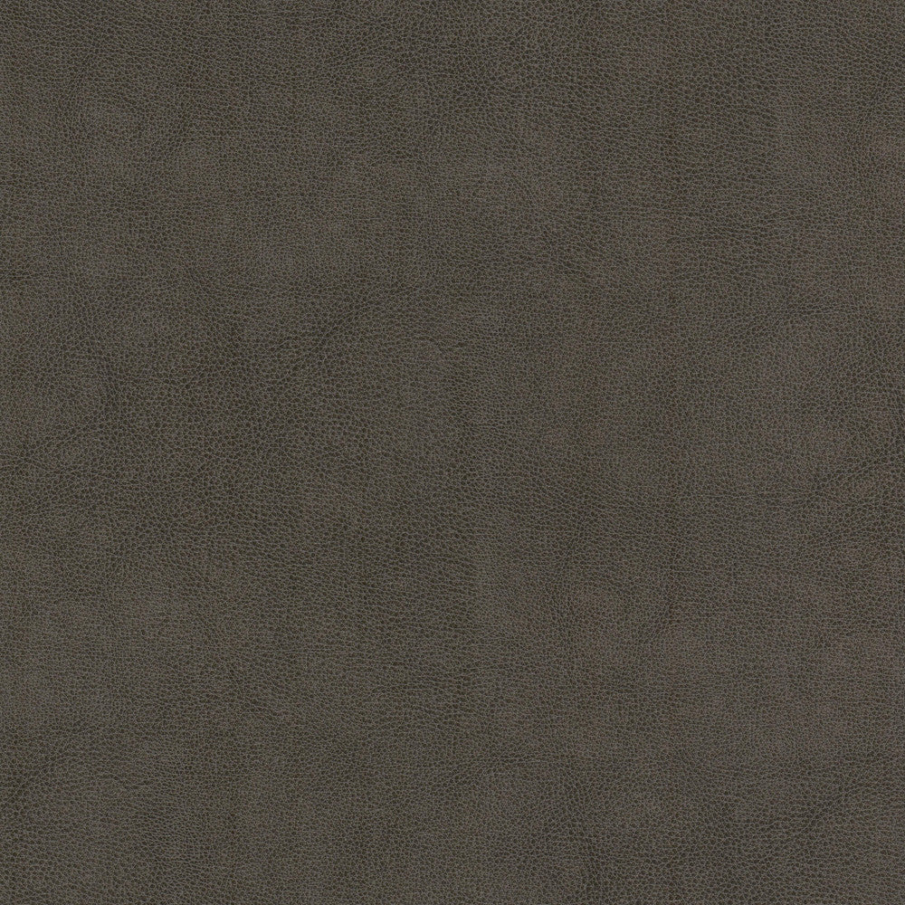 Narcissus 1 Shadow by Stout Fabric LEATHER LOOKS V 100%POU 100%OTH CHINA Horizontal: 0.000 and Vertical: 0.000 54 in - Fabric Carolina -