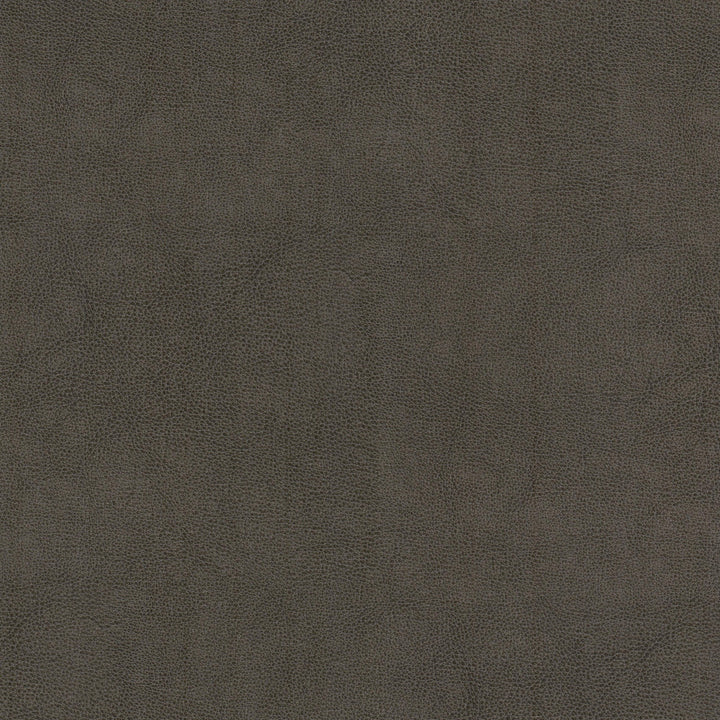 Narcissus 1 Shadow by Stout Fabric LEATHER LOOKS V 100%POU 100%OTH CHINA Horizontal: 0.000 and Vertical: 0.000 54 in - Fabric Carolina -
