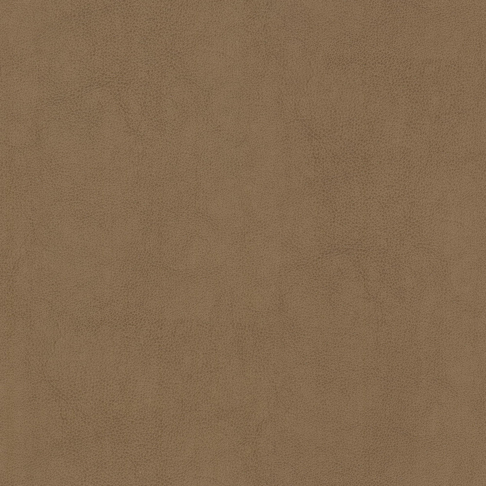 Narcissus 2 Butterum by Stout Fabric LEATHER LOOKS V 100%POU 100%OTH CHINA Horizontal: 0.000 and Vertical: 0.000 54 in - Fabric Carolina -
