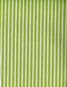 Native Kiwi 285 by Norbar Fabric ARCADE 100% COTTON 1/2"H 55 - Fabric Carolina -