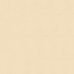 Navigator NAV 9894 Parchment by Softside Fabric