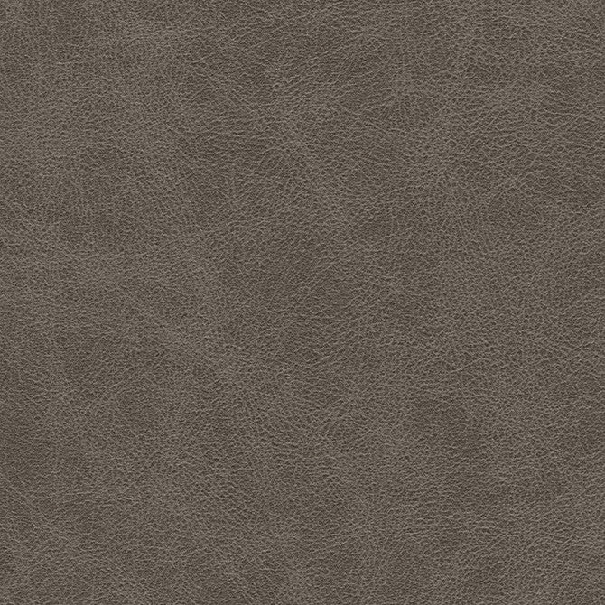 Noonday-Nj # 1025 Graphite by Maxwell Designer Fabric Memos Only-Coated Fabrics FACE: 98% POLYESTER
2% SILICONE CHINA 54" - Swanky Fabrics -
