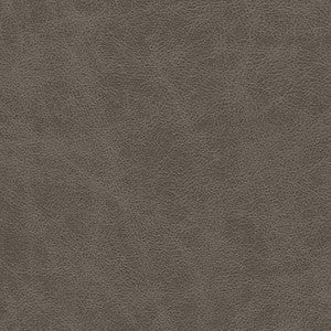 Noonday-Nj # 1025 Graphite by Maxwell Fabric
