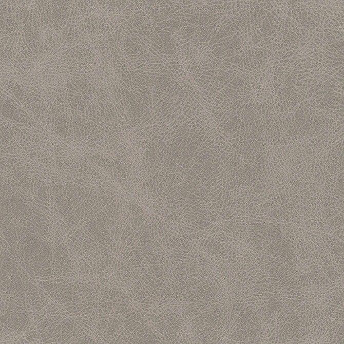 Noonday-Nj # 1029 Aluminum by Maxwell Fabric Memos Only-Coated Fabrics FACE: 98% POLYESTER
2% SILICONE CHINA 54" - Fabric Carolina -