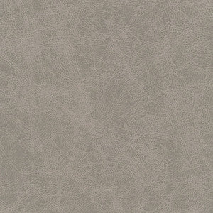 Noonday-Nj # 1029 Aluminum by Maxwell Fabric