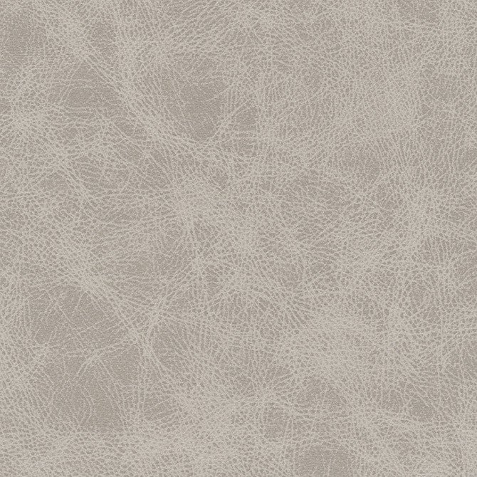 Noonday-Nj # 1031 Icing by Maxwell Designer Fabric Memos Only-Coated Fabrics FACE: 98% POLYESTER
2% SILICONE CHINA 54" - Swanky Fabrics -