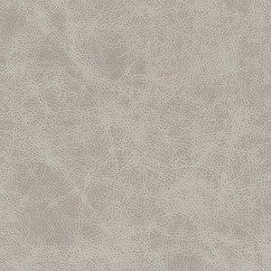 Noonday-Nj # 1031 Icing by Maxwell Fabric