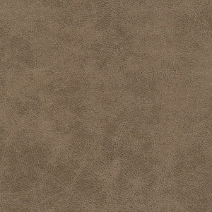 Noonday-Nj # 1034 Desert by Maxwell Fabric