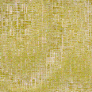 Nielsen # 925 Citrus by Maxwell Fabric