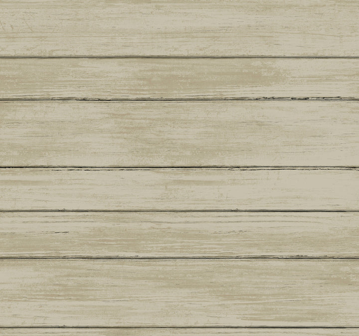 Broad Side Beige Wallpaper by York Wallcoverings Natural Digest Covers about 60.8 square feet 27-in by 27-ft long roll Unpasted 25.25 - Fabric Carolina -