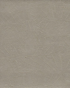 On Deck Grey Wallpaper by York Wallcoverings