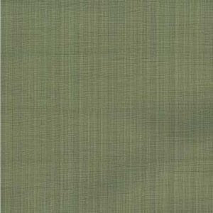 Needham Grass by Norbar Fabric See Sample 67% COTTON 33% POLYESTER INDIA - </p><p>Repeat: Horizontal: and Vertical: - 55" - Fabric Carolina -