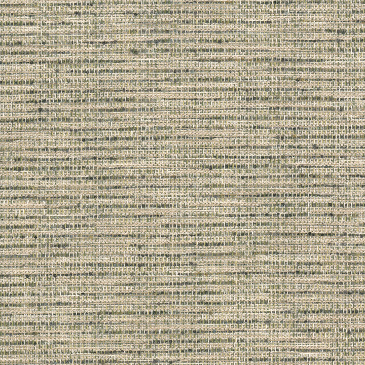 Neptune 1 Jungle by Stout Fabric Stout Fabric Neptune 1 JungleFabric COMFORTABLE LIVING SAGE/MOSS 76%POL 24%COT INDIA </p><p>Repeat: H: 0.000, V: 0.000 54 in - Fabric Carolina -
