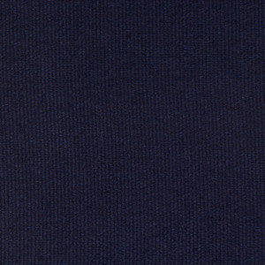 Neptune Ink by Bella-Dura Fabric
