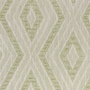 Nervel 1 Aloe by Stout Fabric