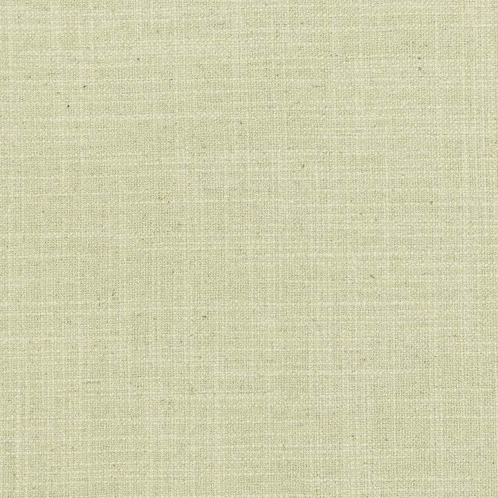 Nevada 10 Celery by Stout Fabric Stout Fabric Nevada 10 CeleryFabric COLOR APPEAL 36%COT 30%POL 17%SVI 17%LIN INDIA </p><p>Repeat: H: 0.000, V: 0.000 54 in - Fabric Carolina -