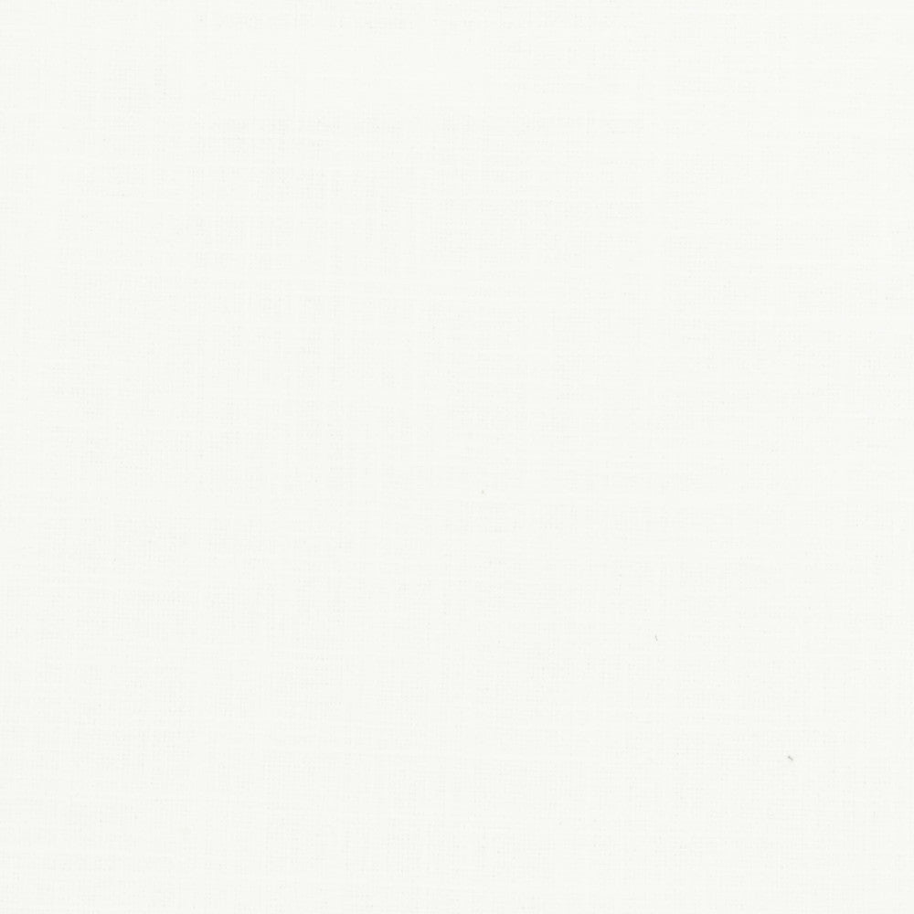 Nevada 5 Salt by Stout Fabric LINEN LOOKS 36%COT 30%POL 17%SVI 17%LIN INDIA FLAME RETARDANT-U.F.A.C. CLASS 1 CATB 117-2013 WYZENBEEK 40 000 DOUBLE RUB WEAR TEST (HEAVY DUTY) Horizontal: 0.000 and Vertical: 0.000 54 in - Fabric Carolina -