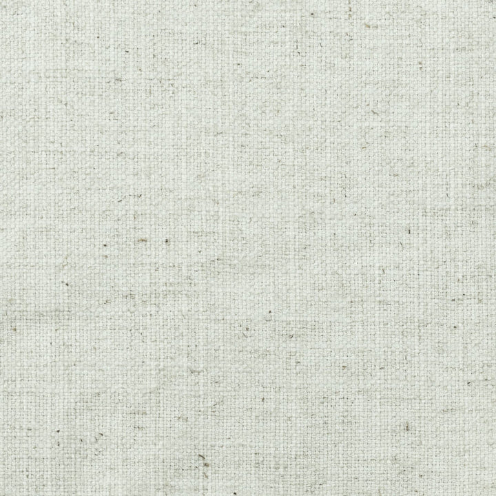 Nevada 6 Platinum by Stout Fabric Linen Looks 36% Cotton 30% Polyester 17% Spun Viscose 17% Linen INDIA FLAME RETARDANT-CA BULLETIN 117-SECTION E FLAME RETARDANT-N.F.P.A. 260A CLASS 1 WYZENBEEK 30 000 DOUBLE RUB WEAR TEST (HEAVY DUTY) Horizontal: 0 and Vertical: 0 54 in - Fabric Carolina -