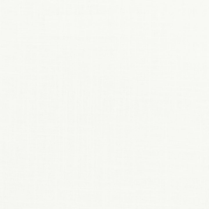 Nevada 7 Parchment by Stout Fabric COLOR MY WINDOW FROST/PEARL 36%COT 30%POL 17%SVI 17%LIN INDIA Horizontal: 0.000 and Vertical: 0.000 54 in - Fabric Carolina -