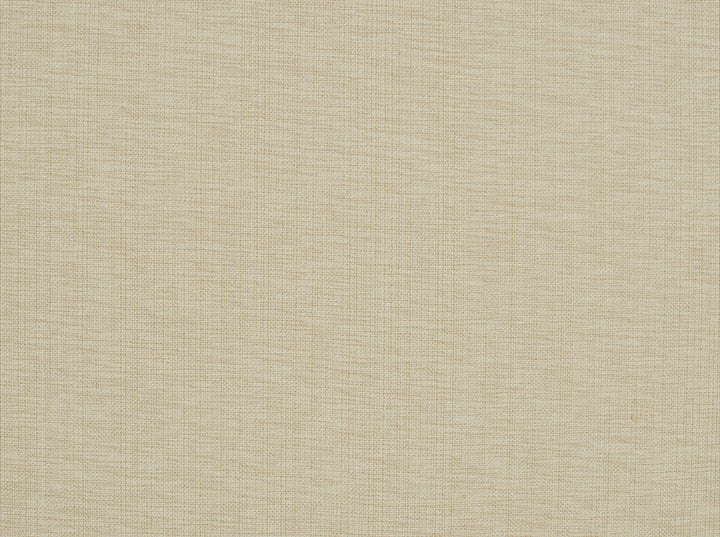 Nevis 107 Canvas by Covington Fabric 100% COTTON India 19000 Horizontal: 0 and Vertical: 0 55 - Fabric Carolina -