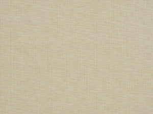 Nevis 107 Canvas by Covington Fabric