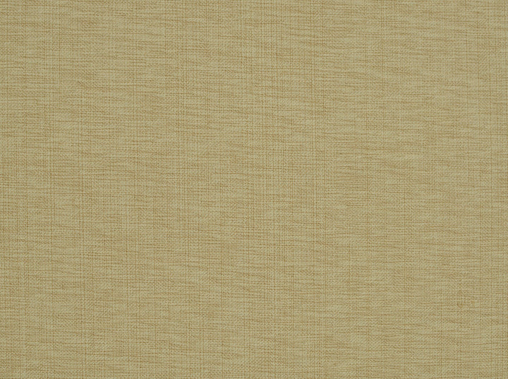 Nevis 1 Honey Beige by Covington Fabric 100% COTTON India 19000 Horizontal: 0 and Vertical: 0 55 - Fabric Carolina -