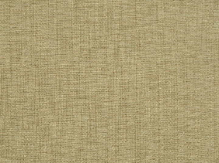 Nevis Honey Beige 1 by Covington Fabric our website for purchase 100% Cotton India 19000 Horizontal: 0" and Vertical: 0" 55" - Fabric Carolina -