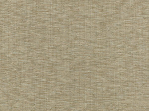Nevis 65 Jute by Covington Fabric