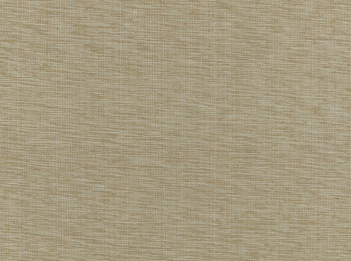 Nevis 65 Jute by Covington Fabric 100% COTTON India 19000 Horizontal: 0 and Vertical: 0 55 - Fabric Carolina -