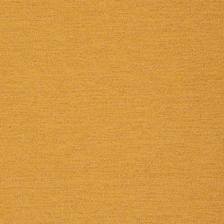 Newmarket 14J7031 by JF Crypton Fabric Crypton Binder 100% Polyester China 50000 Horizontal: and Vertical: 54 - Fabric Carolina -