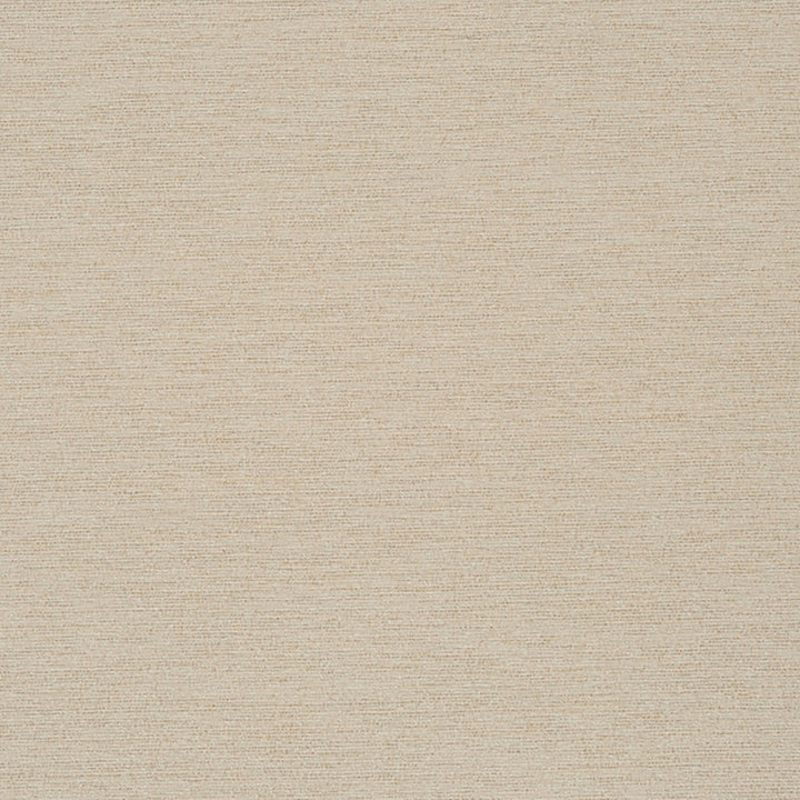 Newmarket 92J7031 by JF Crypton Designer Fabric Crypton Binder 100% Polyester China 50000 Horizontal: and Vertical: 54 - Swanky Fabrics -