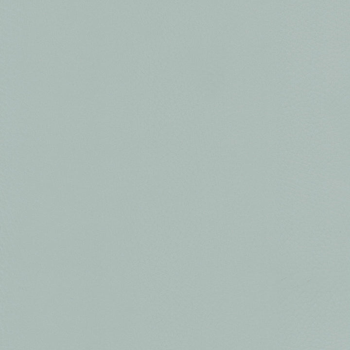 Newnham 1 Mist by Stout Fabric Stout Fabric Newnham 1 MistFabric Leather Looks Vi 84%Pvc 16%Pol 1%Oth Thailand </p><p>Repeat: H: 0, V: 1 54 in - Fabric Carolina -