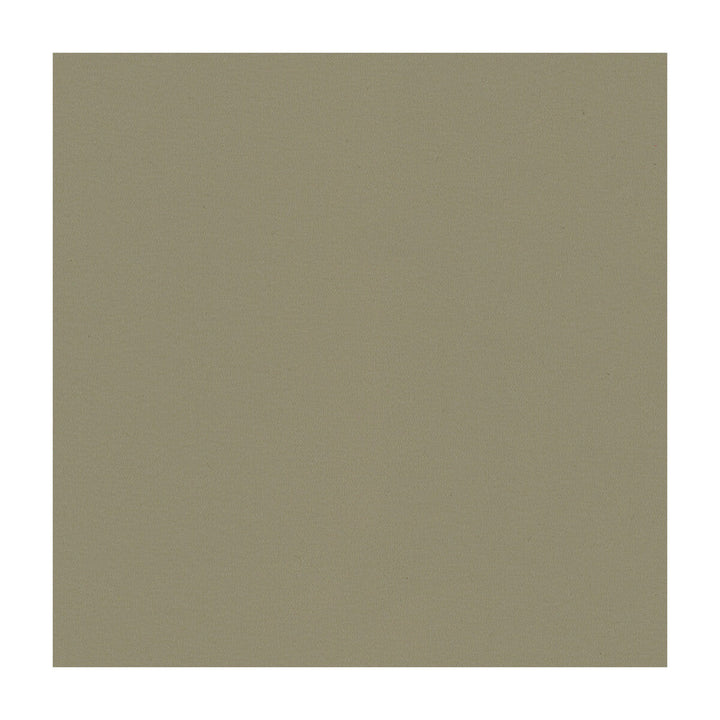 Newt-11 by Kravet Smart Designer Fabric PVC - ARTIFICIAL LEATHER - 100% Taiwan HEAVY Horizontal: and Vertical: 54 - Swanky Fabrics -