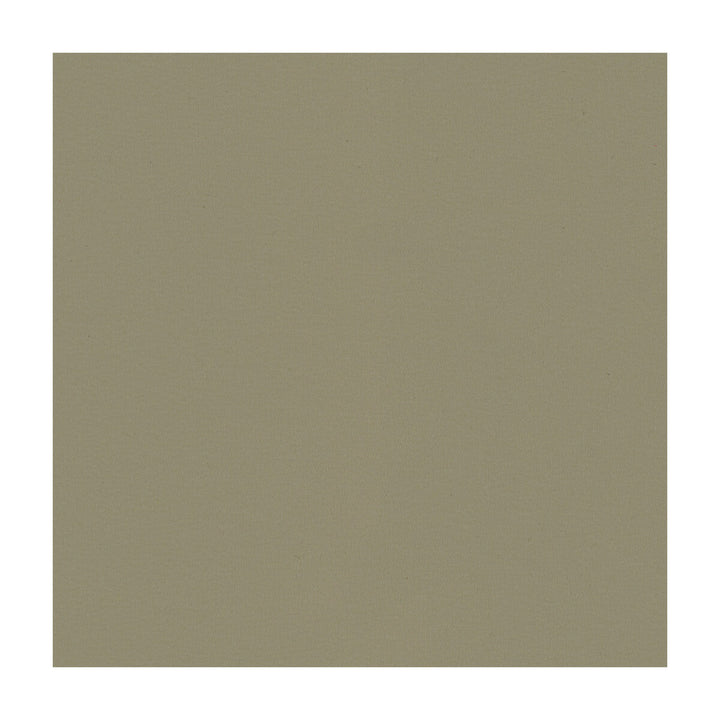 Newt-11 by Kravet Smart Fabric PVC - ARTIFICIAL LEATHER - 100% Taiwan HEAVY Horizontal: and Vertical: 54 - Fabric Carolina -