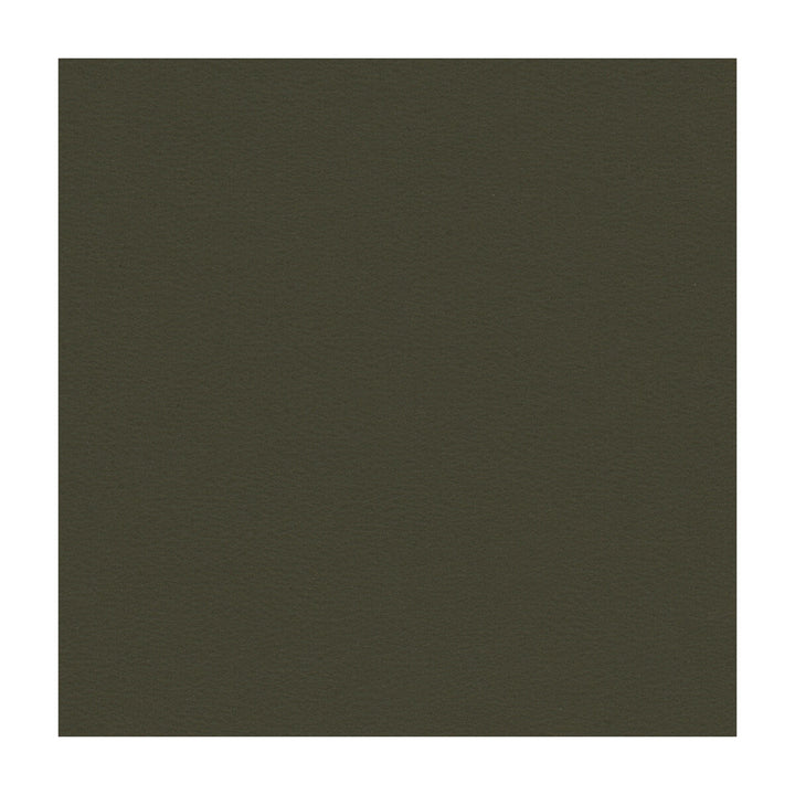 Newt-21 by Kravet Smart Fabric PVC - ARTIFICIAL LEATHER - 100% Taiwan HEAVY Horizontal: and Vertical: 54 - Fabric Carolina -
